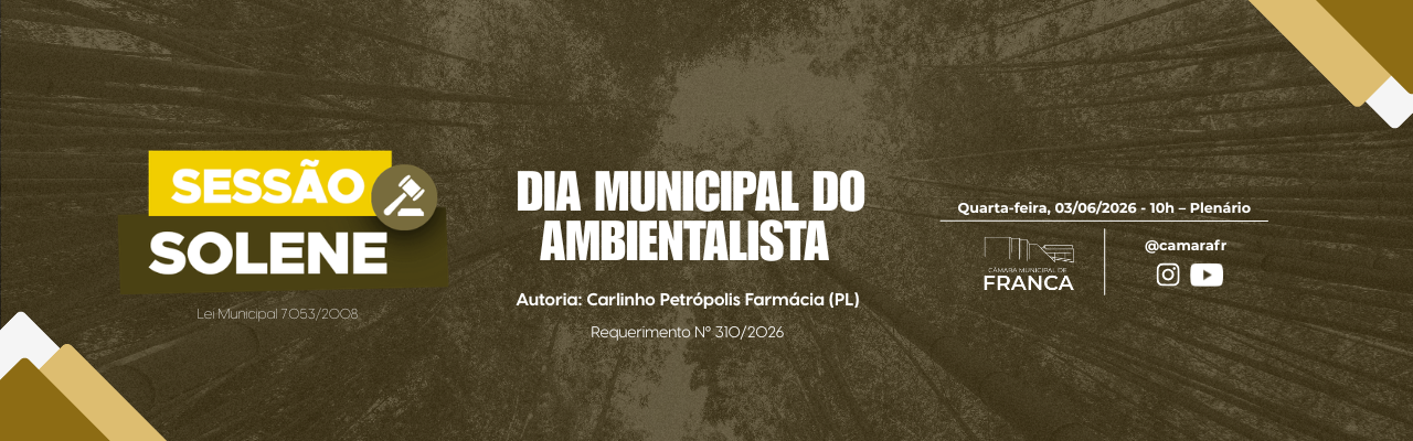 Imagem do slide