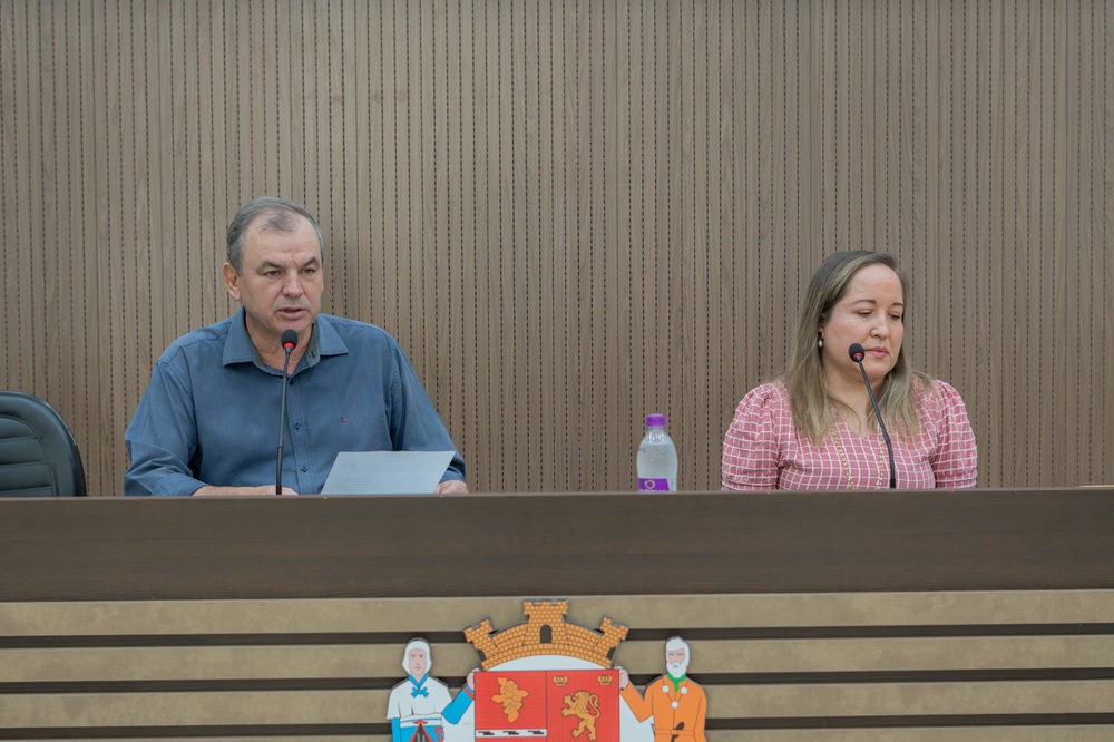 Contadora Ana Virginia apresenta dados na Audiência Pública sobre a LOA 2026