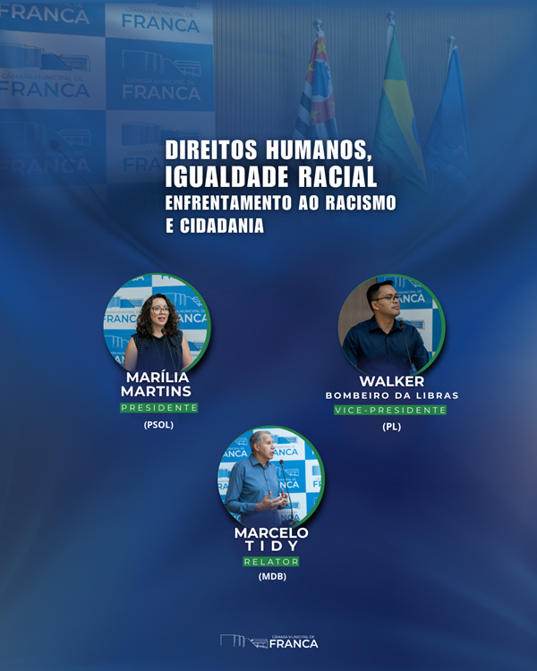 Direitos Humanos e Igualdade Racial 