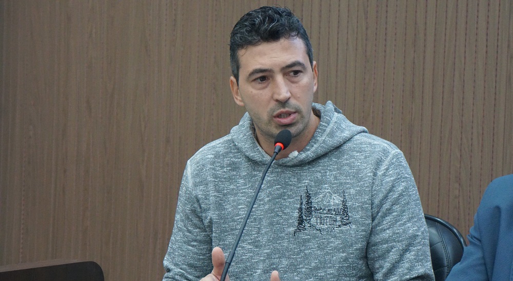 Bassi 