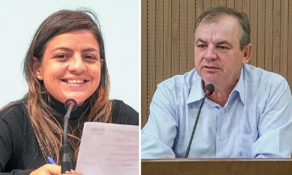 Câmara realiza Audiência Pública para debater projeto que proíbe soltura de fogos de artifício ruidosos 